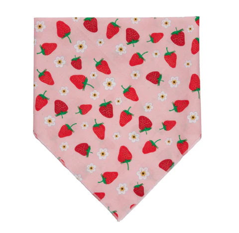 Strawberry Pet Bandana
