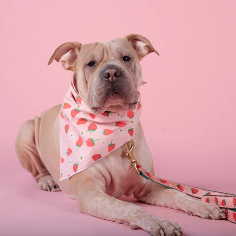 Strawberry Pet Bandana