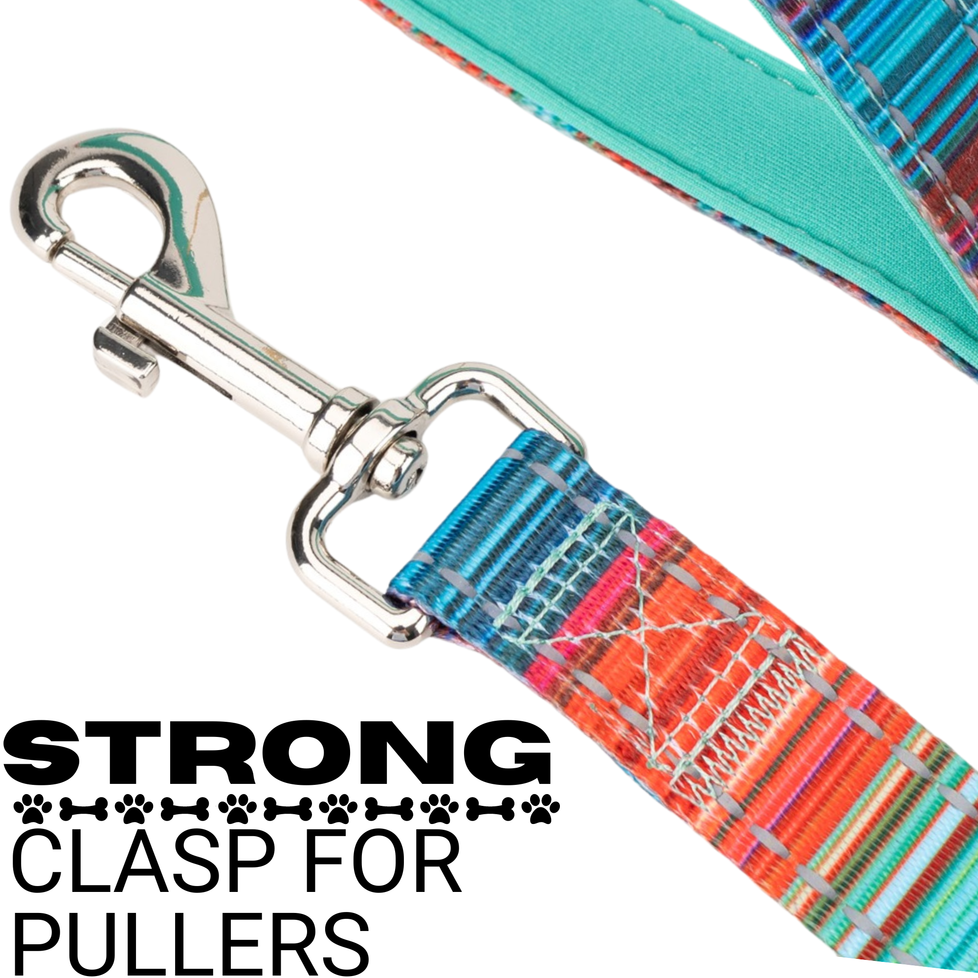 Stripe Dog Leash by EcoBark - Multicolor Padded Comfort Grip Leash - 4ft, 5ft, and 6ft Leash for Small and Medium Dogs