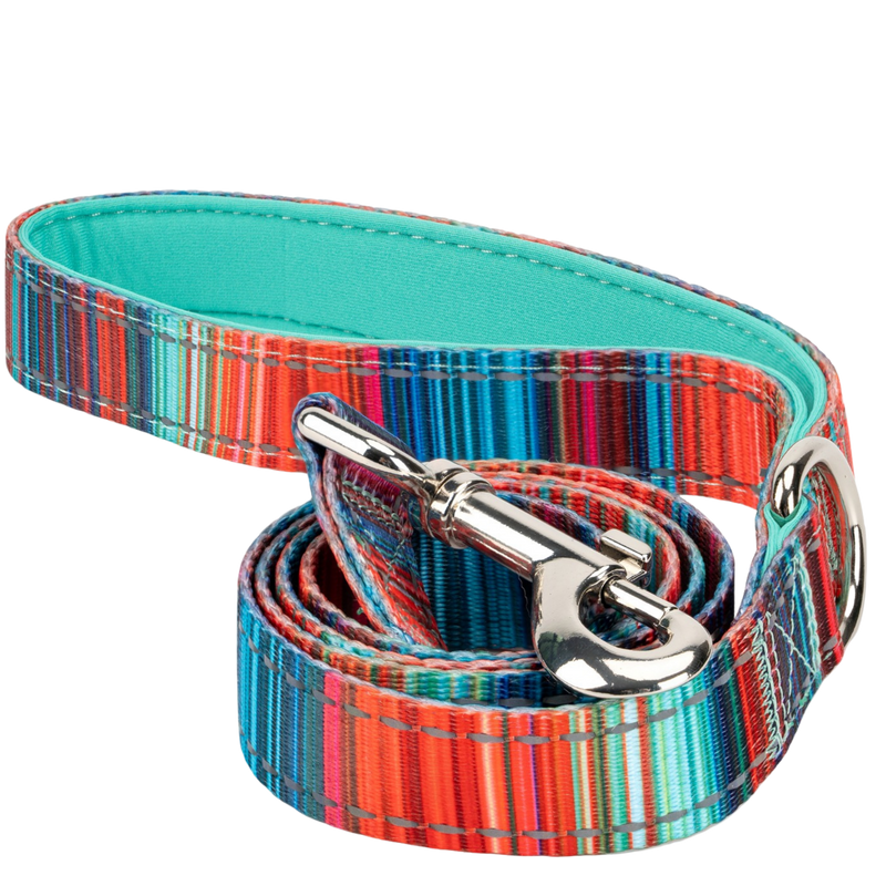 Stripe Dog Leash by EcoBark - Multicolor Padded Comfort Grip Leash - 4ft, 5ft, and 6ft Leash for Small and Medium Dogs