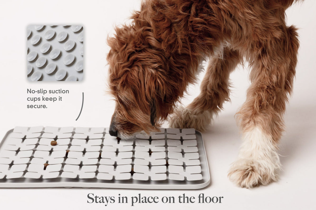 LAY LO Snuffle Mat - HT Animal Supply