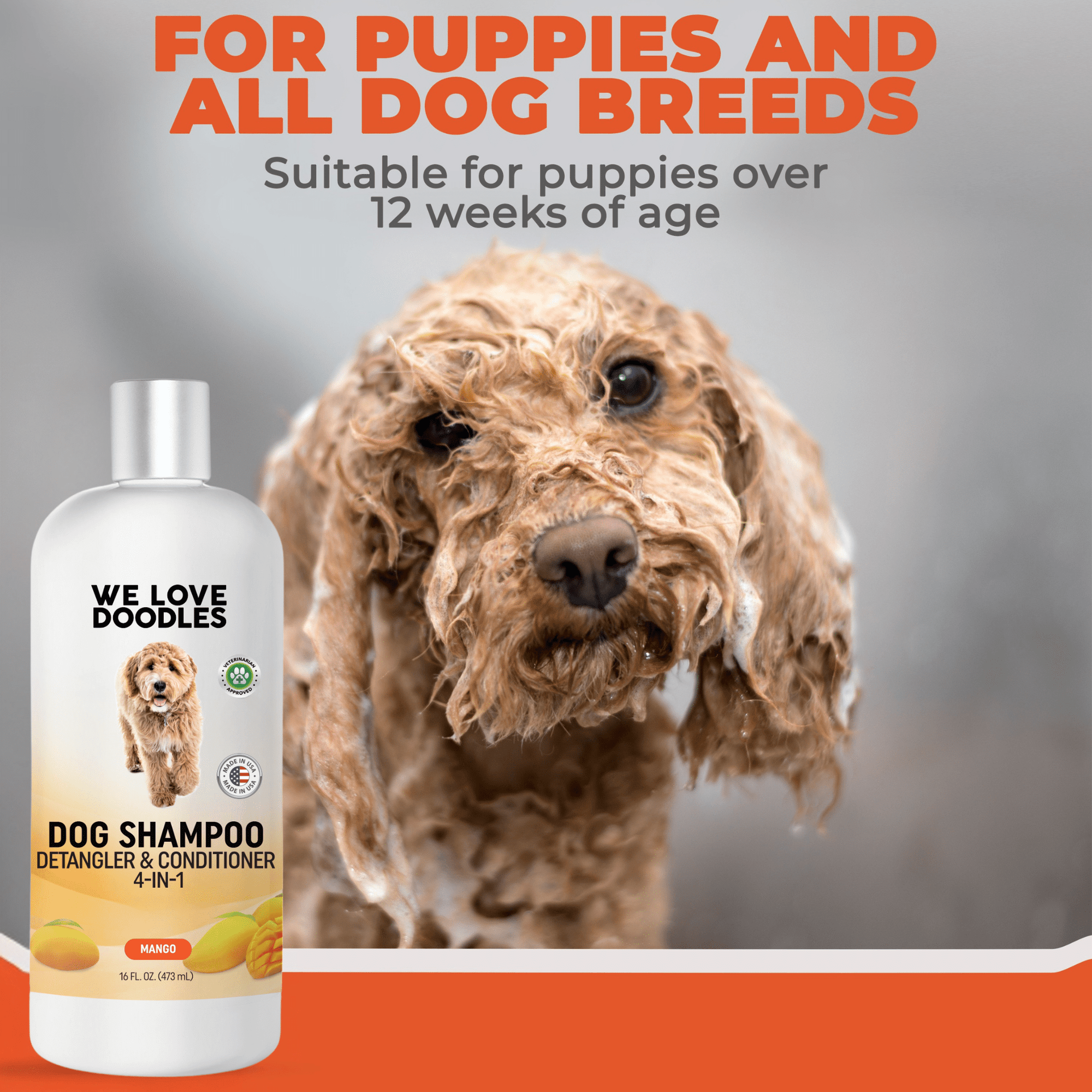 Dog Shampoo (Mango Scent)