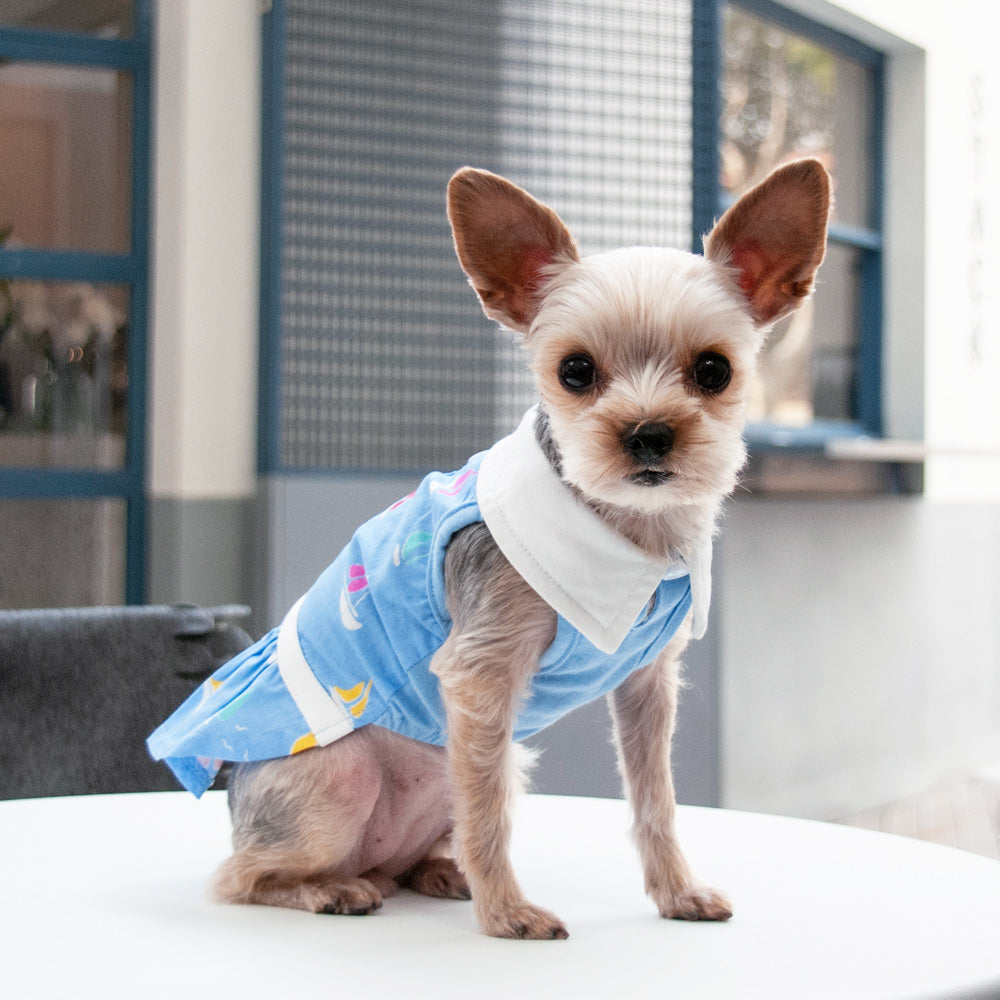 DOGO Summer Beach Dog Dress