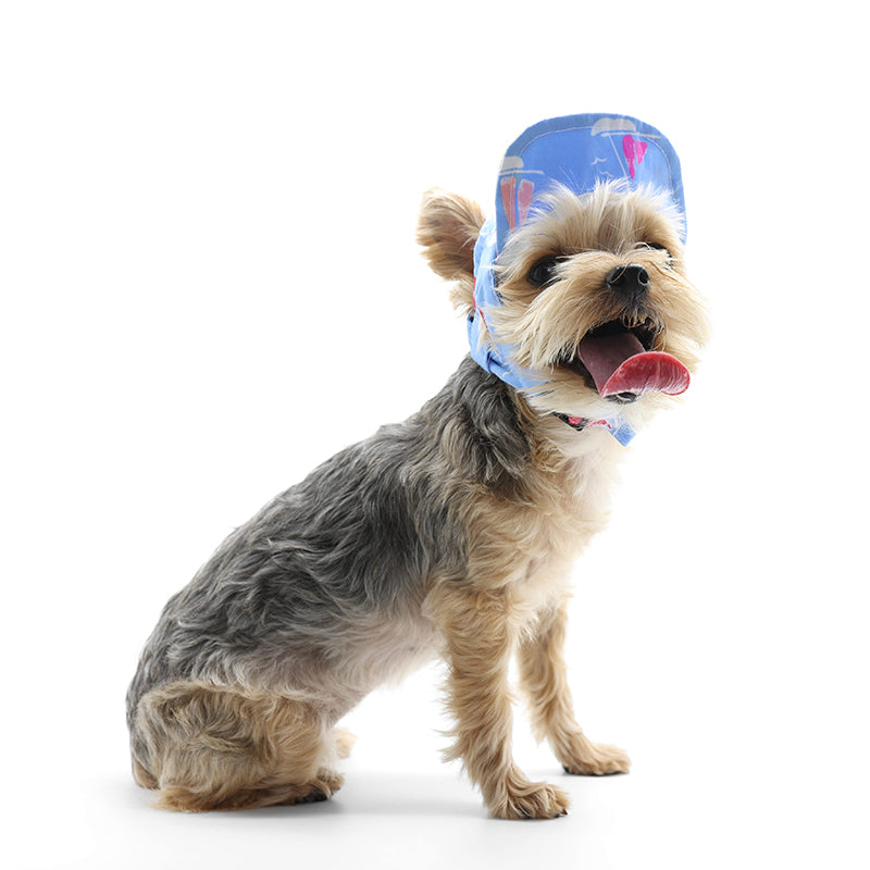 DOGO Summer Beach Dog Baseball Hat