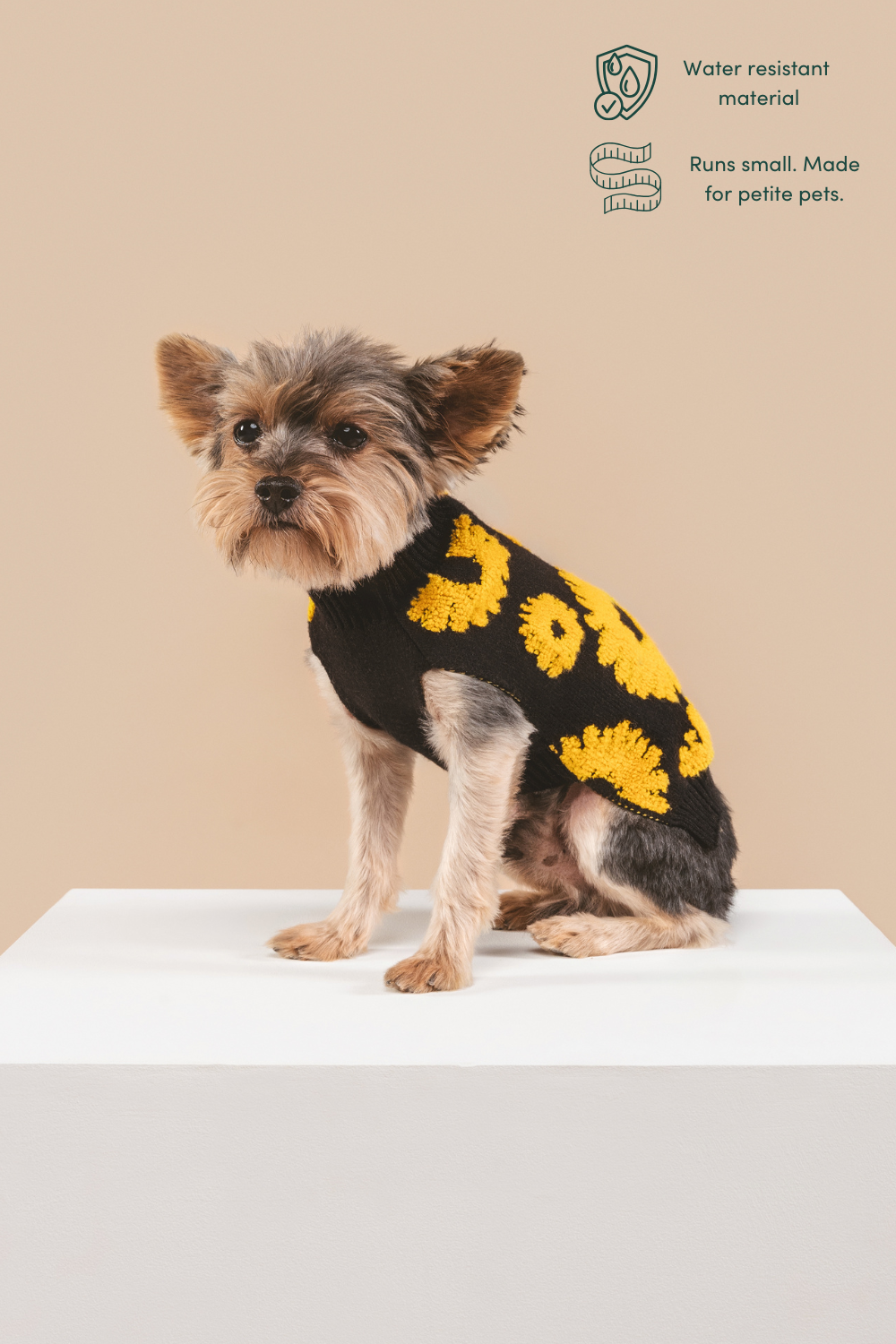 Sunflower Days Sweater 