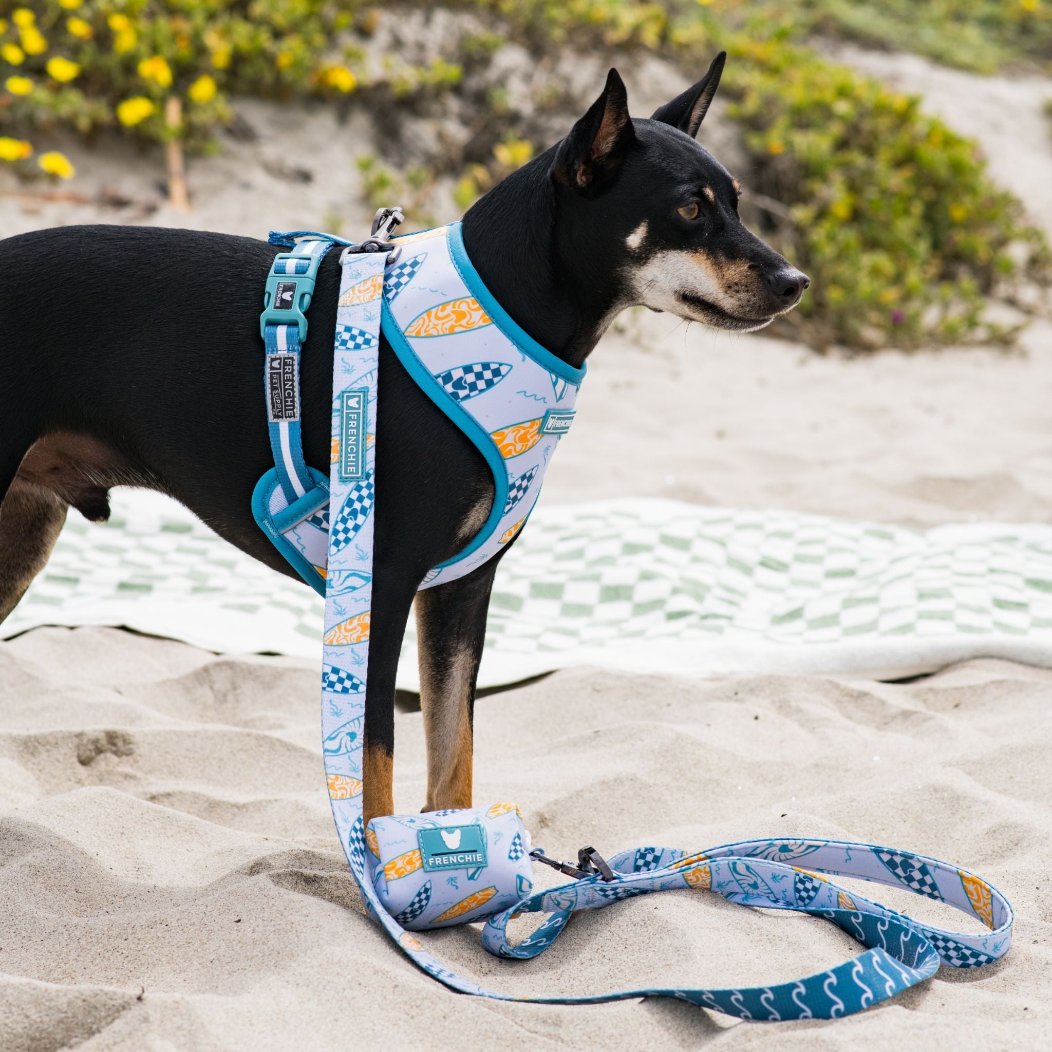 Frenchie Comfort Leash - Surfboard