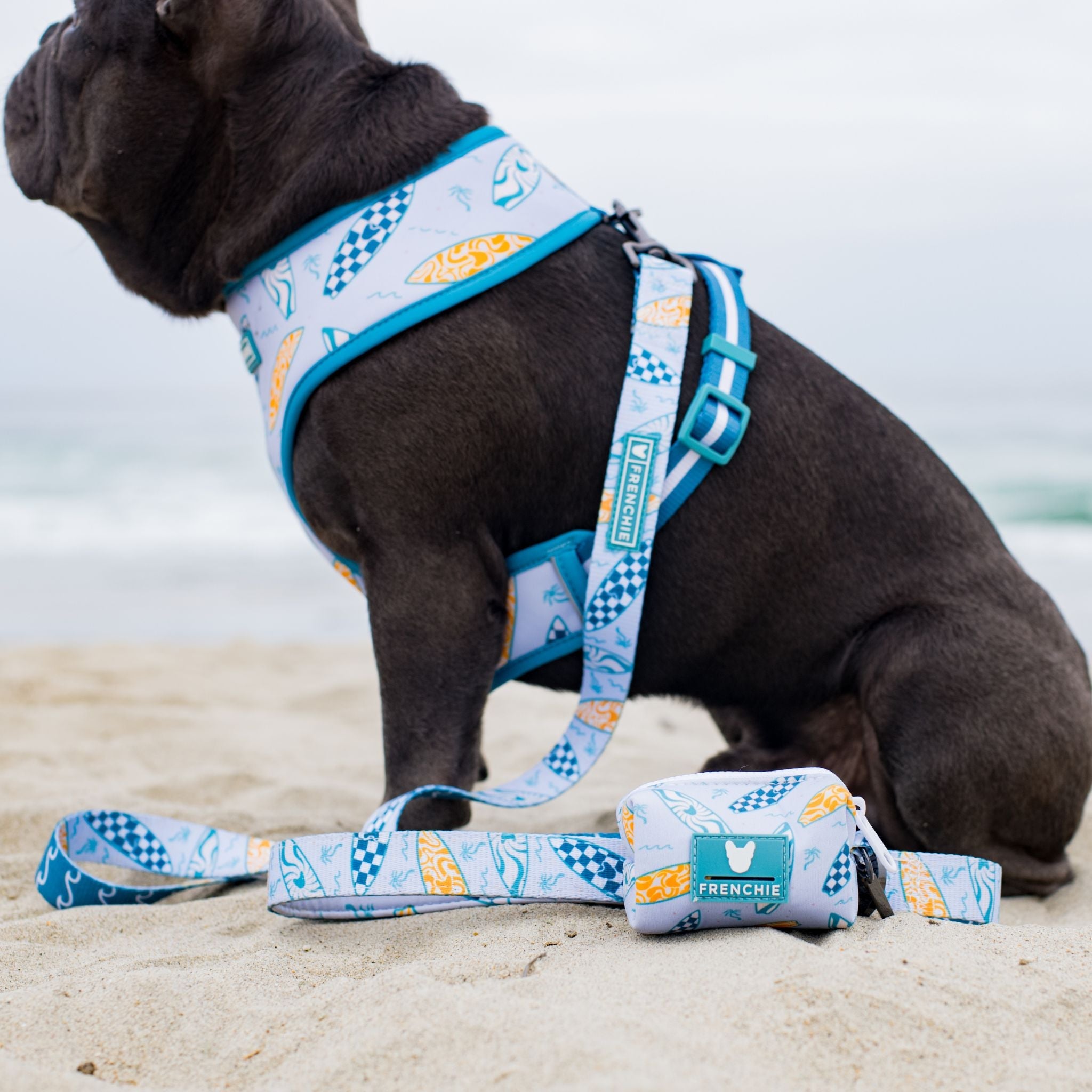 Frenchie Comfort Leash - Surfboard