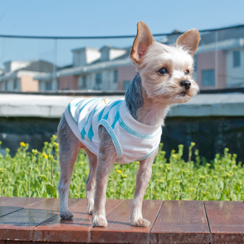 DOGO Surfs Dog Tank Top