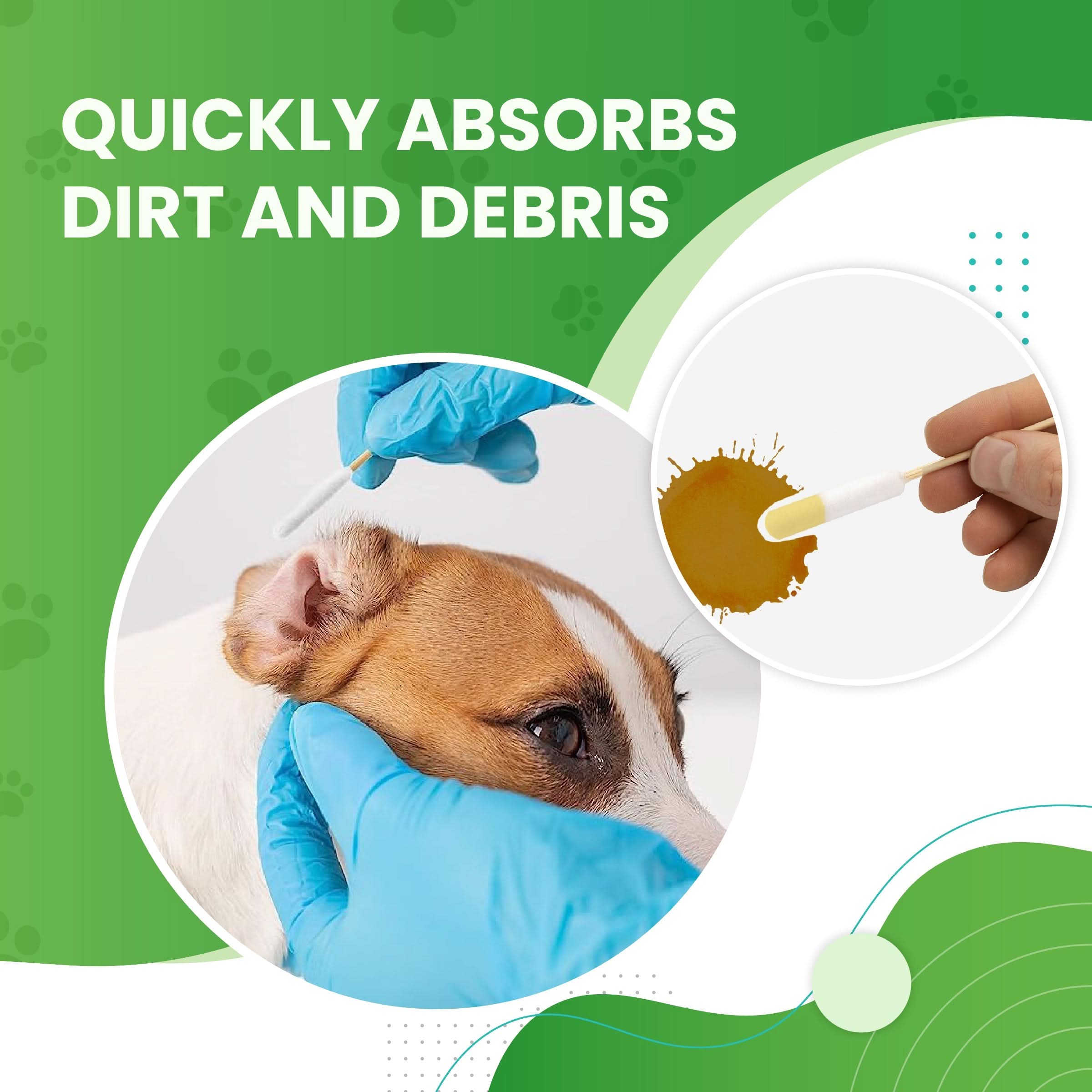 Dog Ear Swabs