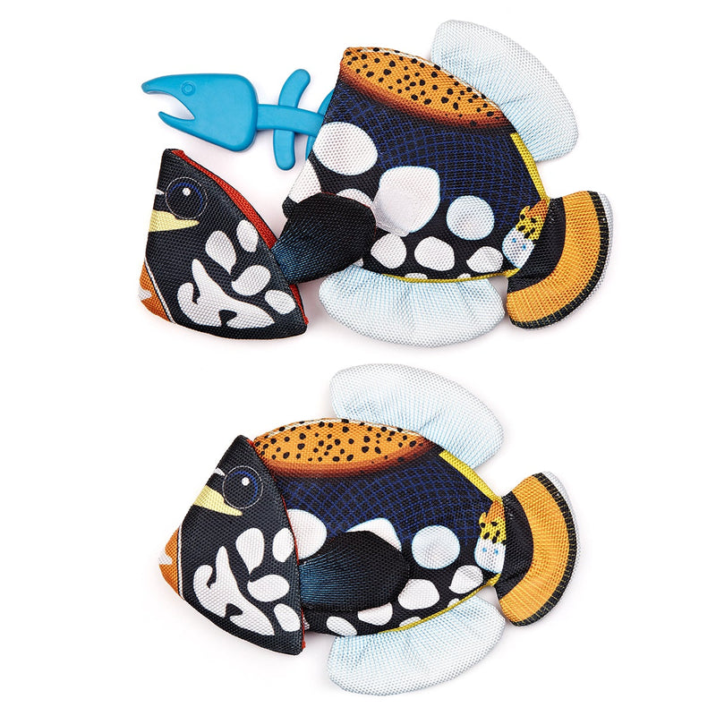 Dogline Tropical Crinkle with Bone Emperor Angelfish