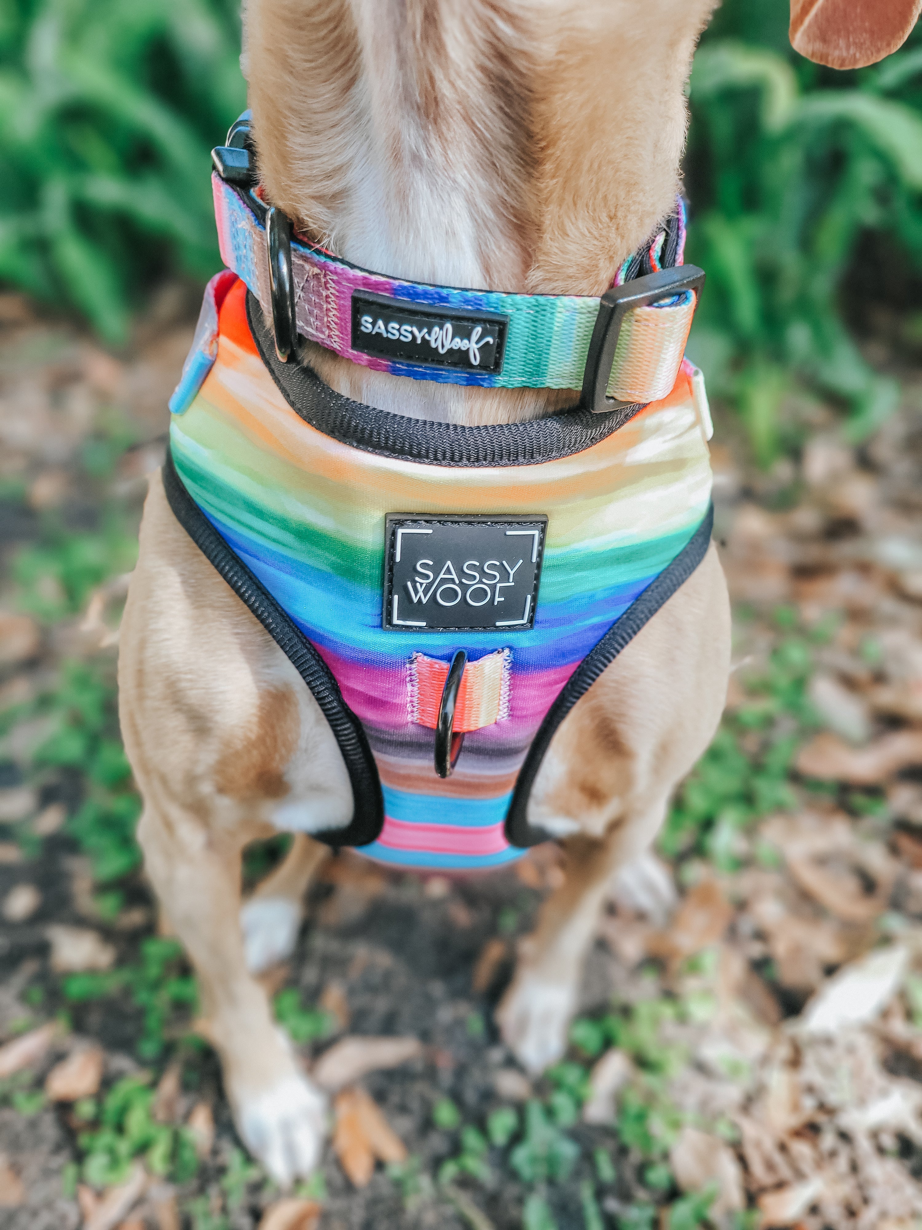 Dog Adjustable Harness - Love You Fur You