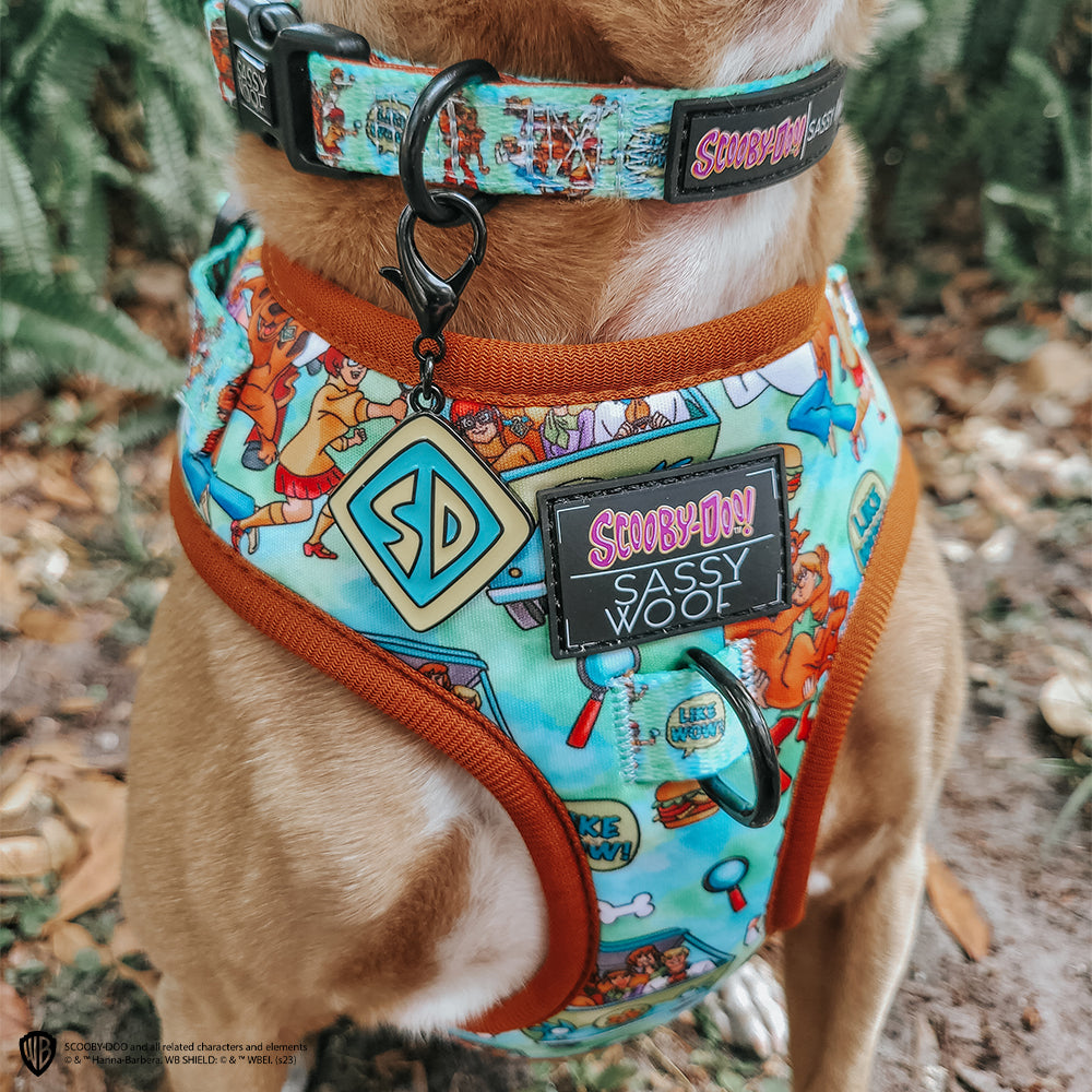 Dog Collar - Scooby-Doo™