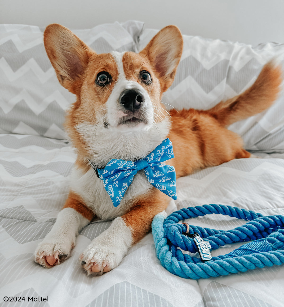 Dog Rope Leash - KEN™