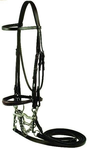 Gatsby Weymouth Show Bridle - Havanna - Cob