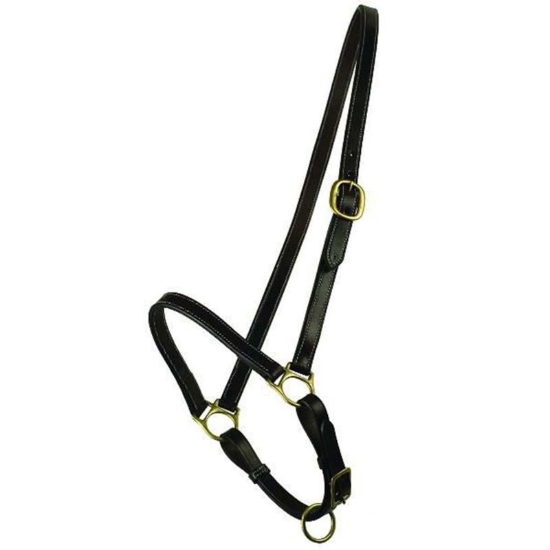 Gatsby Grooming Halter Horse Havana - Havana - Horse