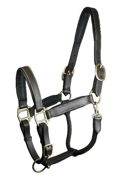 Gatsby Fully Adjust Padded Leather Halter - Brown - Cob