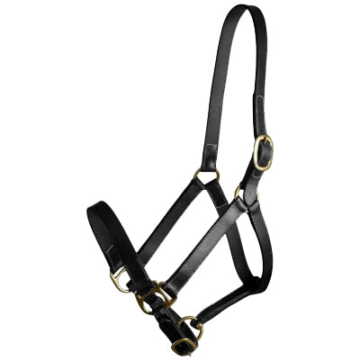 Gatsby Adj Turnout Leather Halter No Snap - Havana - Oversize