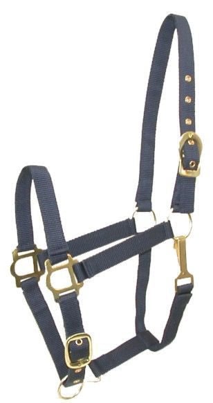 Gatsby Adj Nylon Halter/Snap - Navy - Cob
