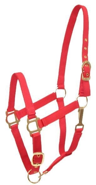 Gatsby Adj Nylon Halter/Snap - Hunter - Pony