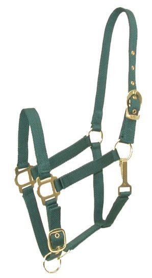 Gatsby Adj Nylon Halter/Snap - Hunter - Cob
