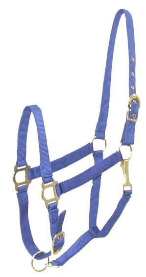 Gatsby Adj Nylon Halter/Snap - Royal - Cob