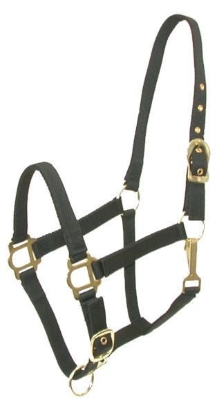 Gatsby Adj Nylon Halter/Snap - Black - Cob