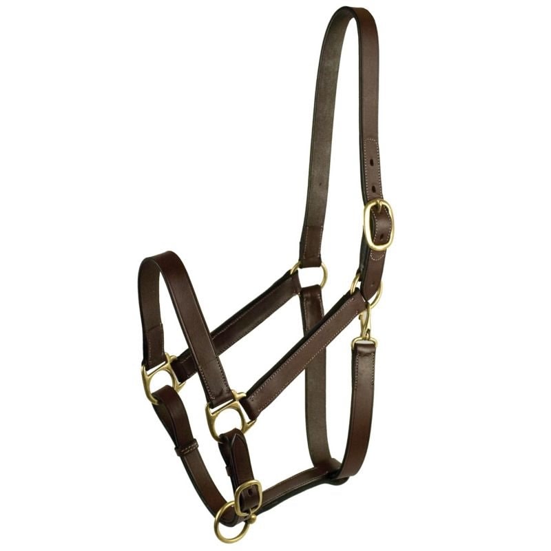 Gatsby Leather Turnout Halter with Snap - Havana - Weanling