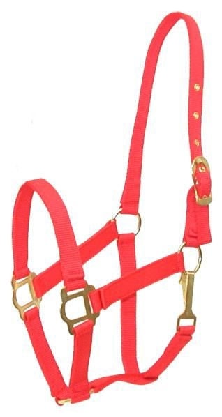Gatsby Classic Nylon Halter/Snap - Red - Pony