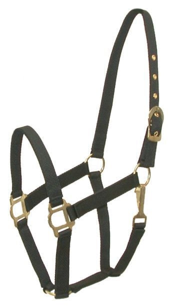 Gatsby Classic Nylon Halter/Snap - Black - Cob