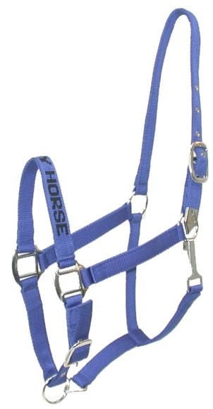 Gatsby I LOVE MY HORSE Nylon Halter - Royal - Horse