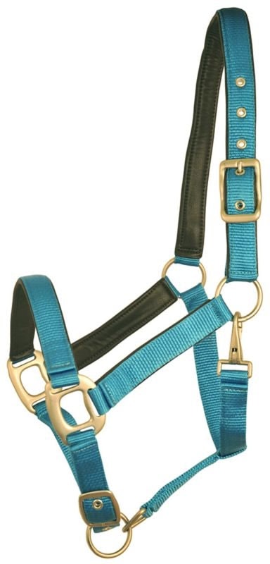 Gatsby Leather Pad Nylon Halter - Black/Brown - Oversize