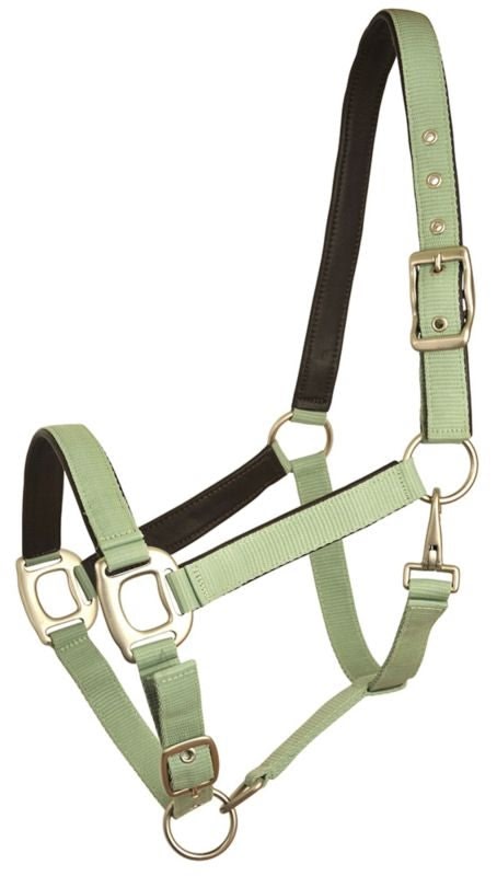 Gatsby Leather Pad Nylon Halter - Blueberry/Brown - Cob