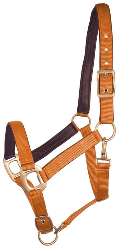 Gatsby Leather Pad Nylon Halter - Blueberry/Brown - Oversize
