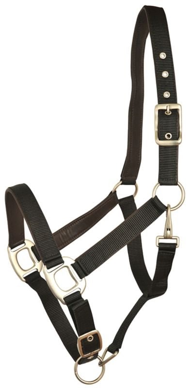 Gatsby Leather Pad Nylon Halter - Black/Brown - Cob
