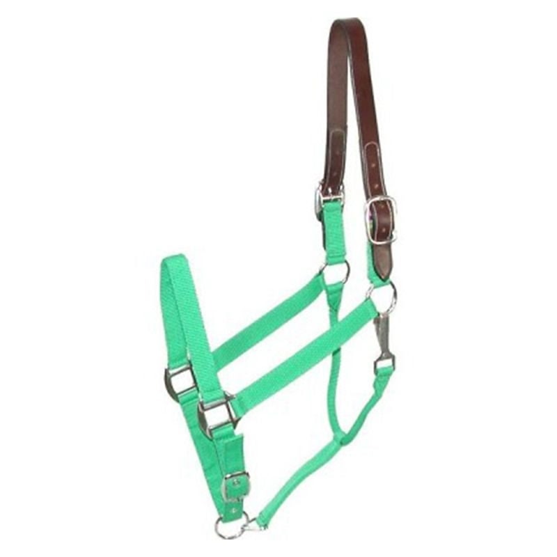 Gatsby Nylon Breakaway Halter - Green - Oversize