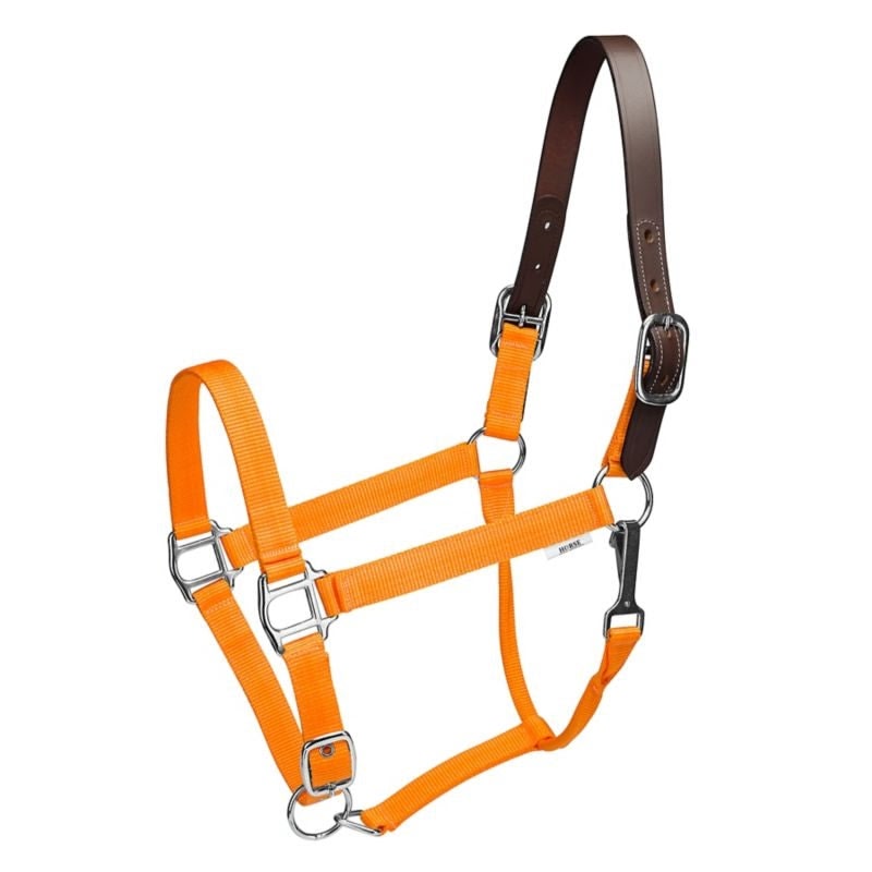 Gatsby Nylon Breakaway Halter - Orange - Oversize