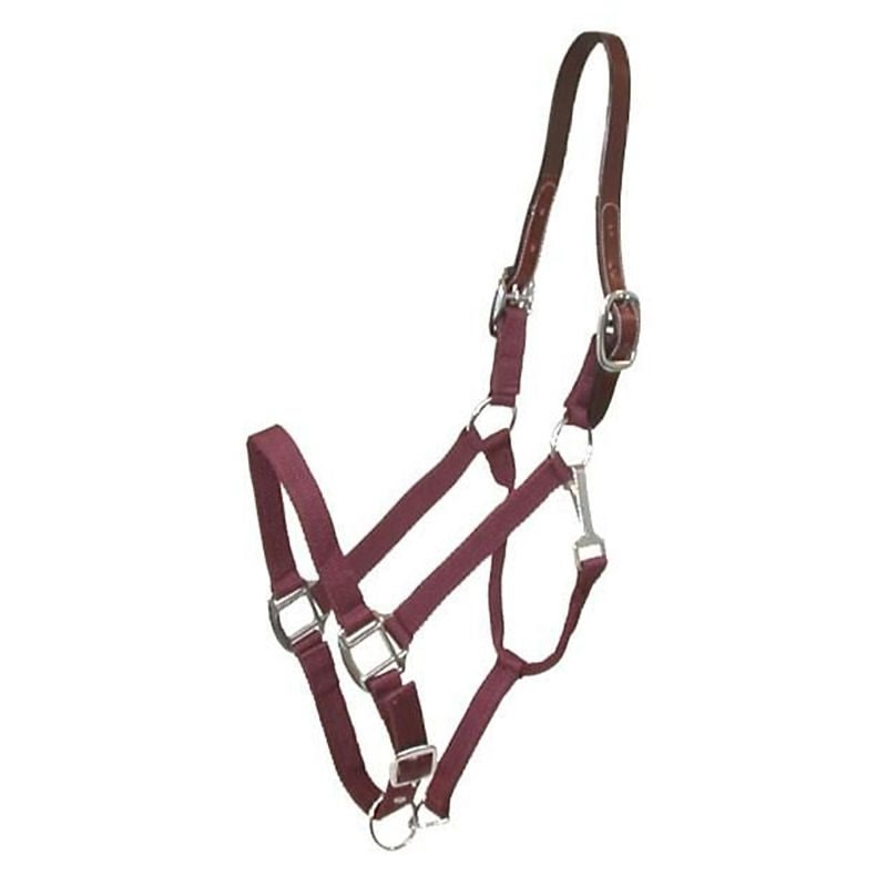 Gatsby Nylon Breakaway Halter - Burgundy - Oversize