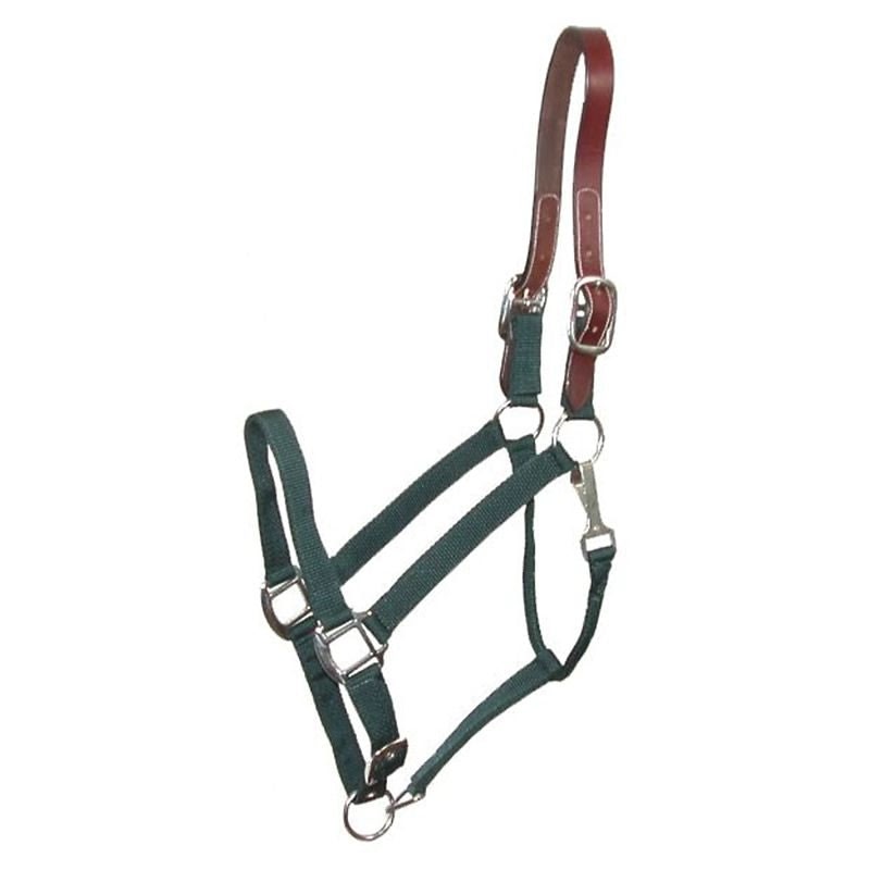 Gatsby Nylon Breakaway Halter - Hunter - Oversize