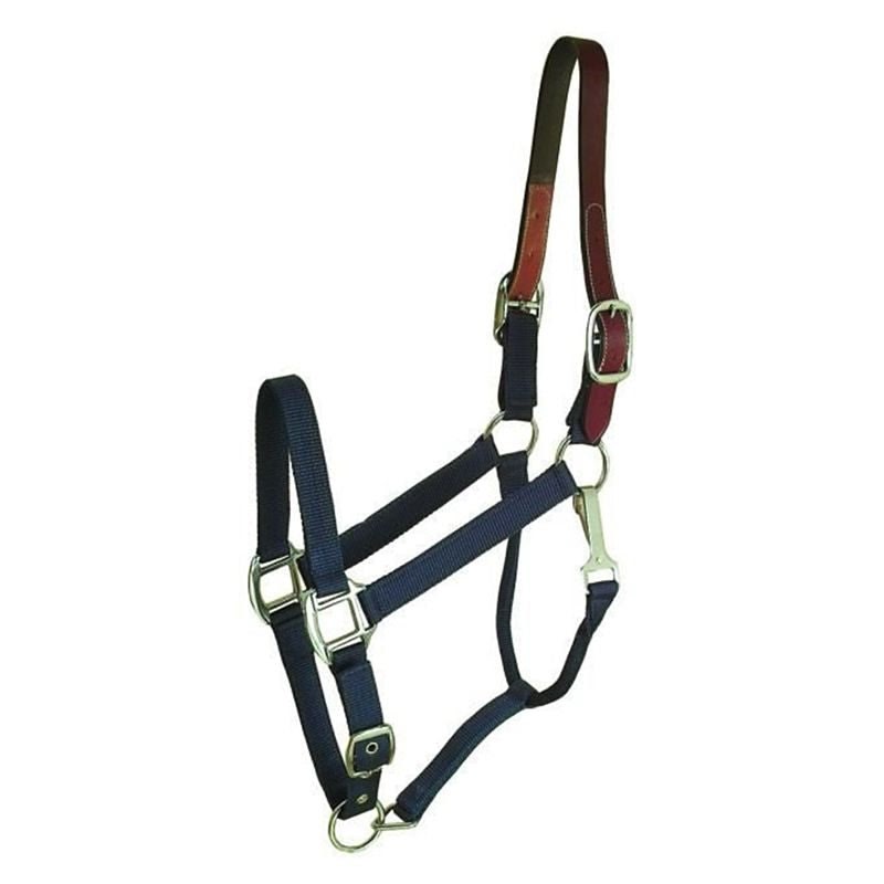 Gatsby Nylon Breakaway Halter - Navy - Oversize