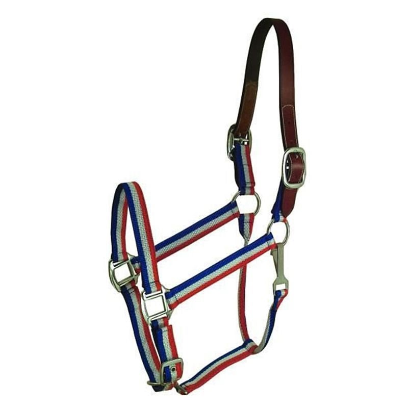 Gatsby Nylon Breakaway Halter - Hunter - Cob