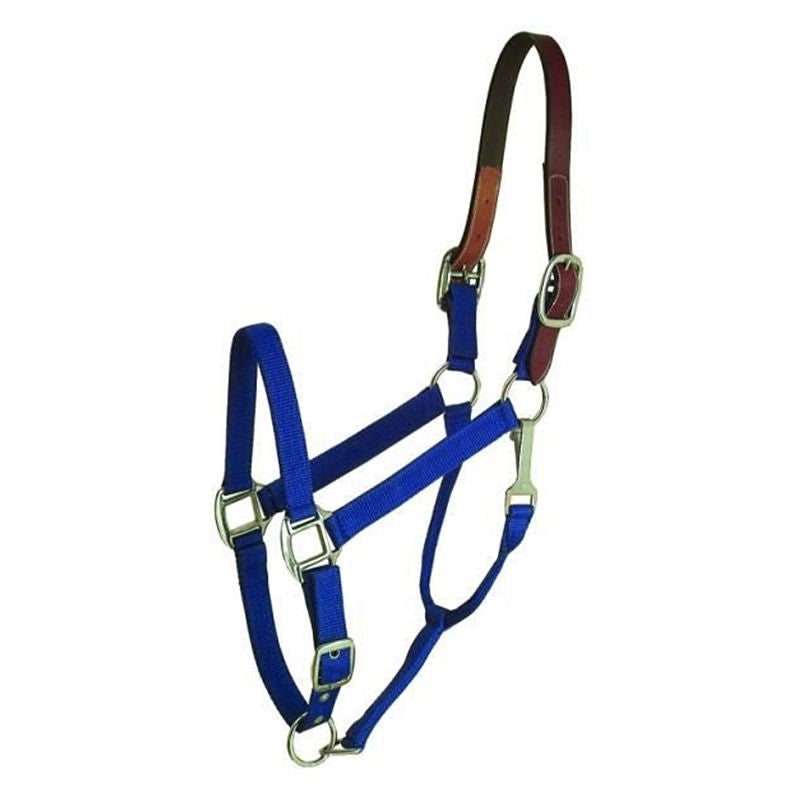 Gatsby Nylon Breakaway Halter - Royal Blue - Oversize