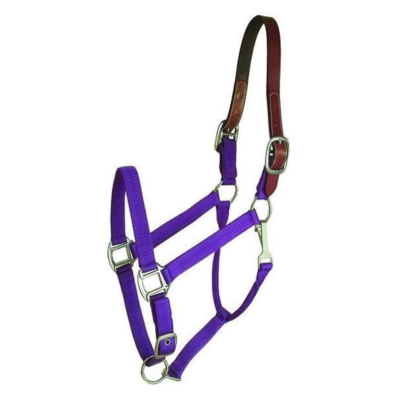 Gatsby Nylon Breakaway Halter - Purple - Oversize