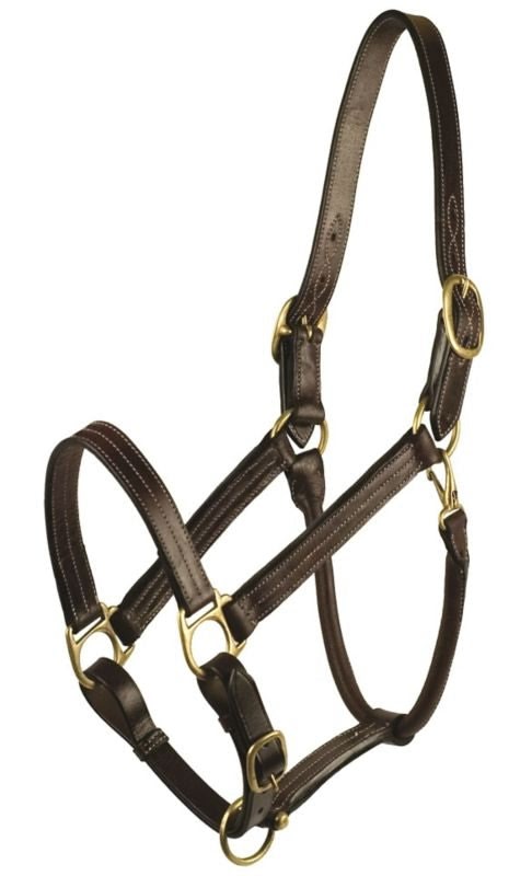Gatsby Premium Adj Triple Stitched Halter - Havana - Horse