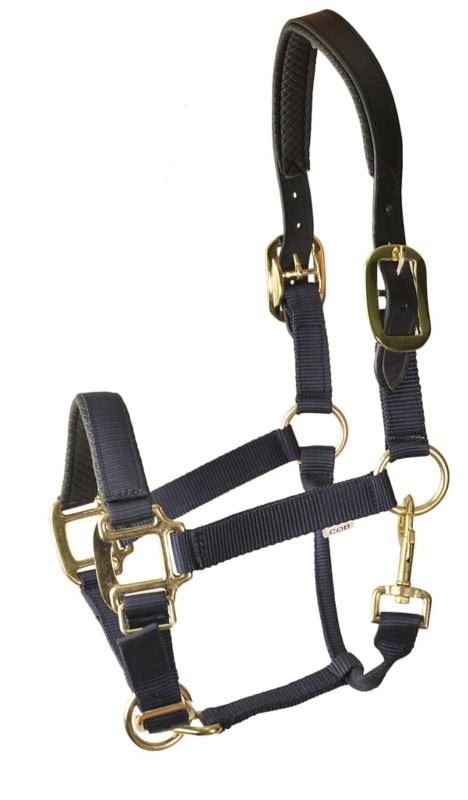 Gatsby Prem Nylon Padded Halter - Black - Horse