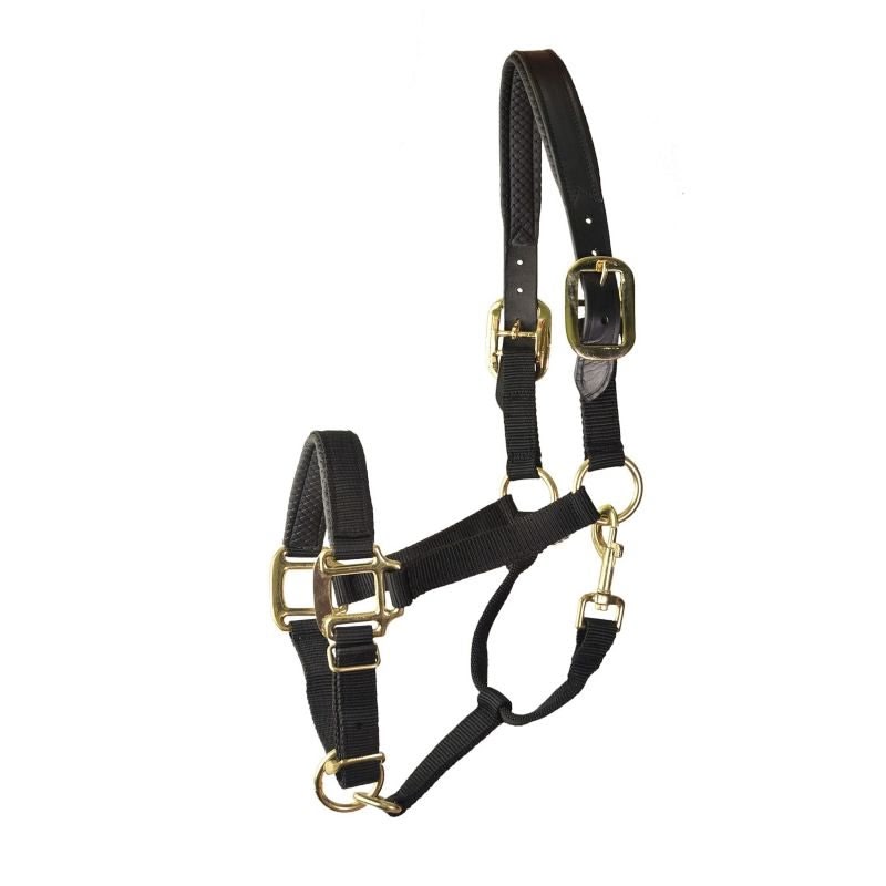 Gatsby Prem Nylon Padded Halter - Black - Cob