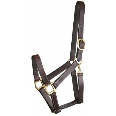 Gatsby Track Style Turnout Halter/Snap - Havana - Yearling