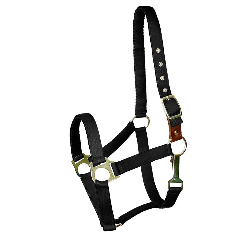 Gatsby Nylon Safety Breakaway Halter - Black - Horse