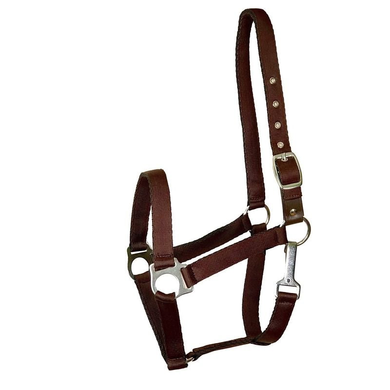 Gatsby Nylon Safety Breakaway Halter - Brown - Horse