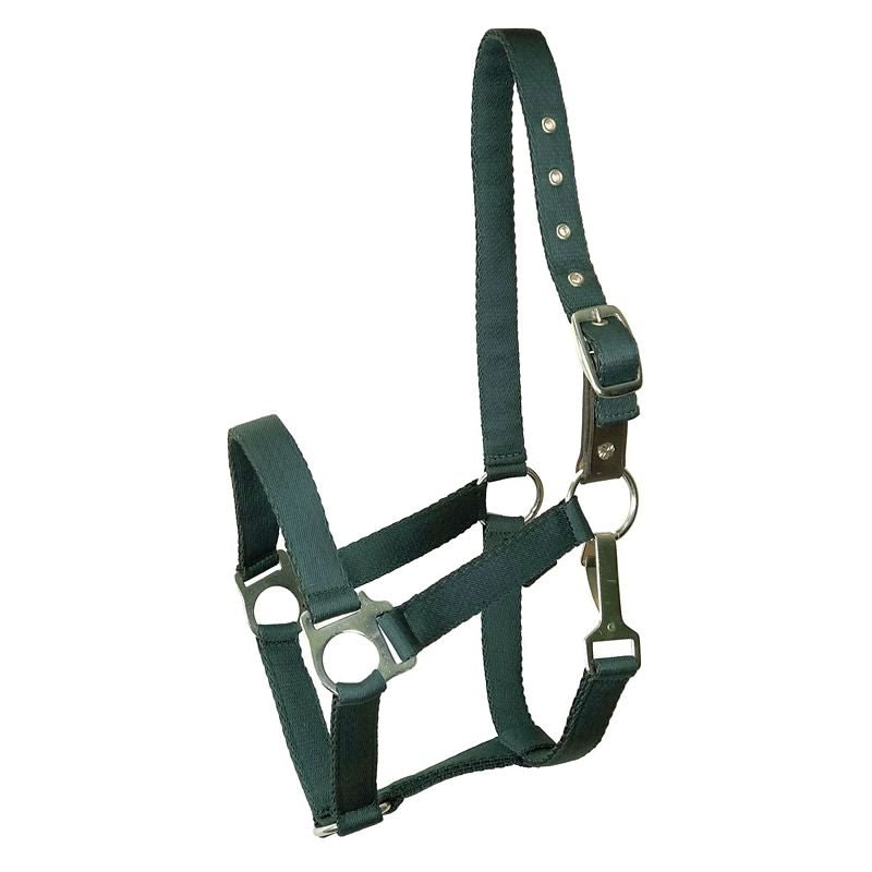 Gatsby Nylon Safety Breakaway Halter - Hunter Green - Horse