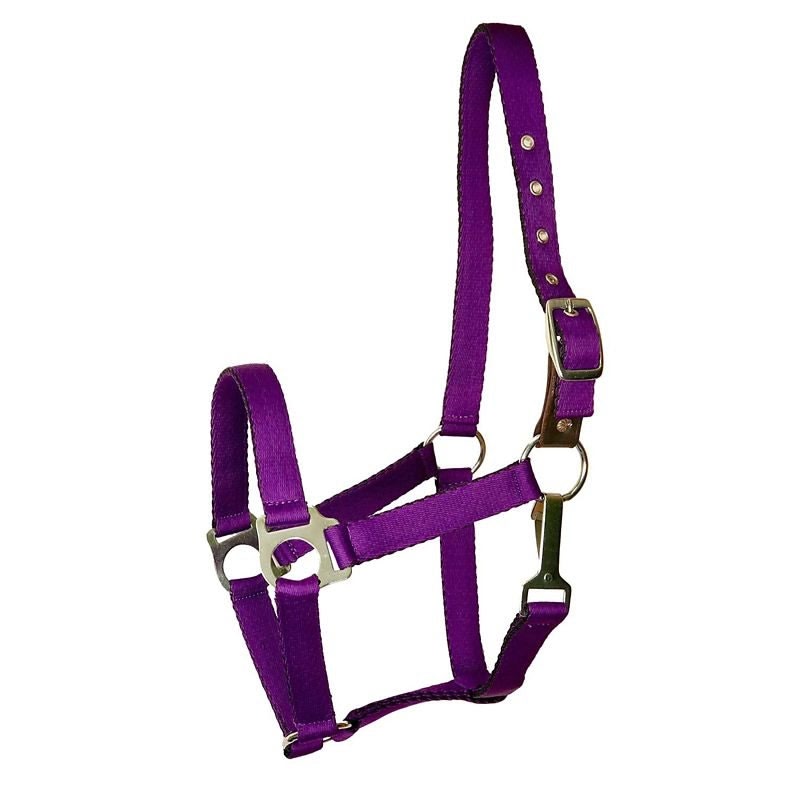 Gatsby Nylon Safety Breakaway Halter - Purple - Horse